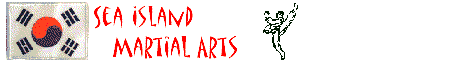 Sea Isle Martial Arts WebSite